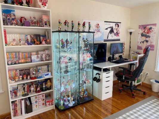 Figurine Shelf Display Anime Room Concept